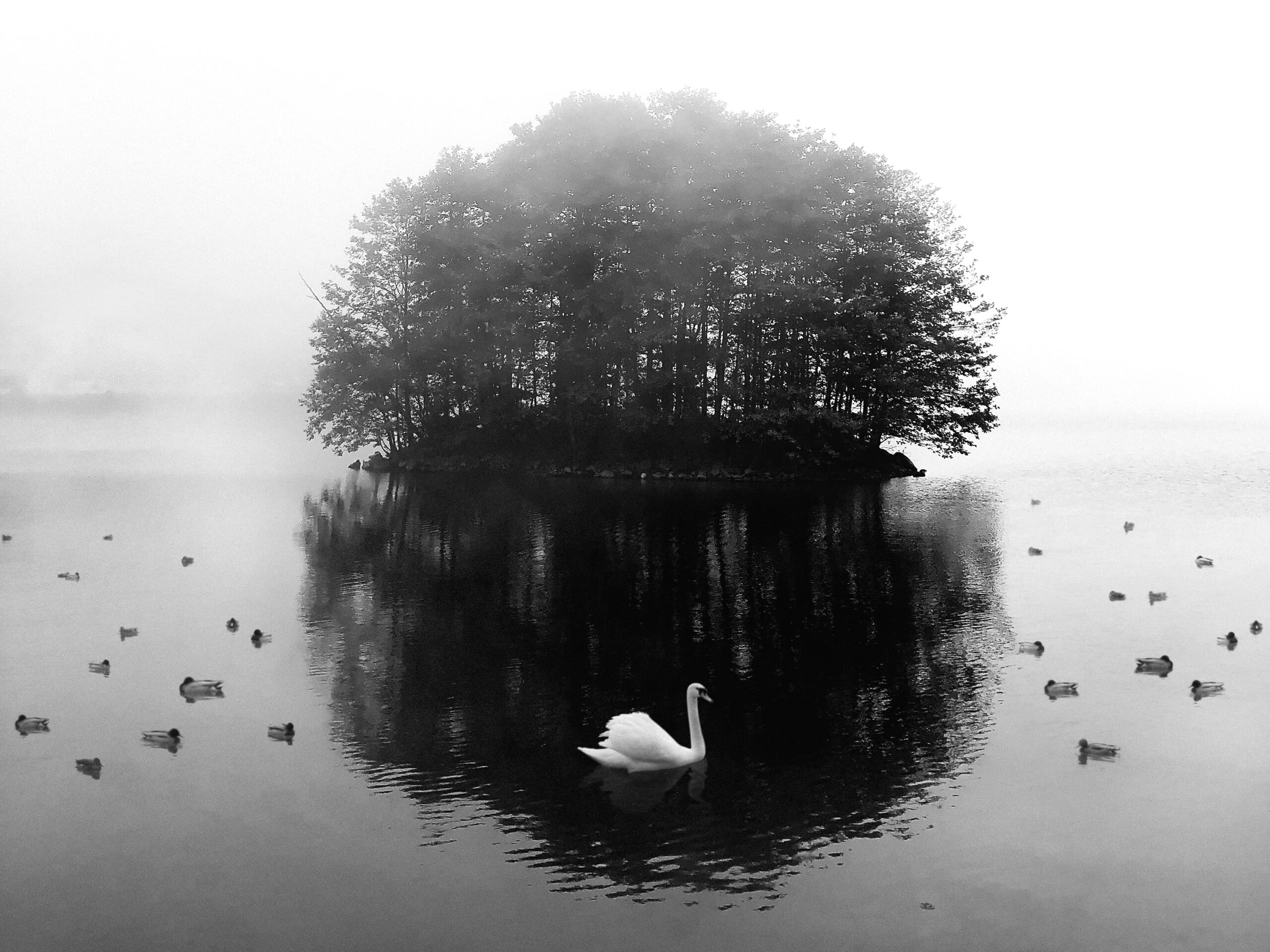 Black and White taxi going up on a hill