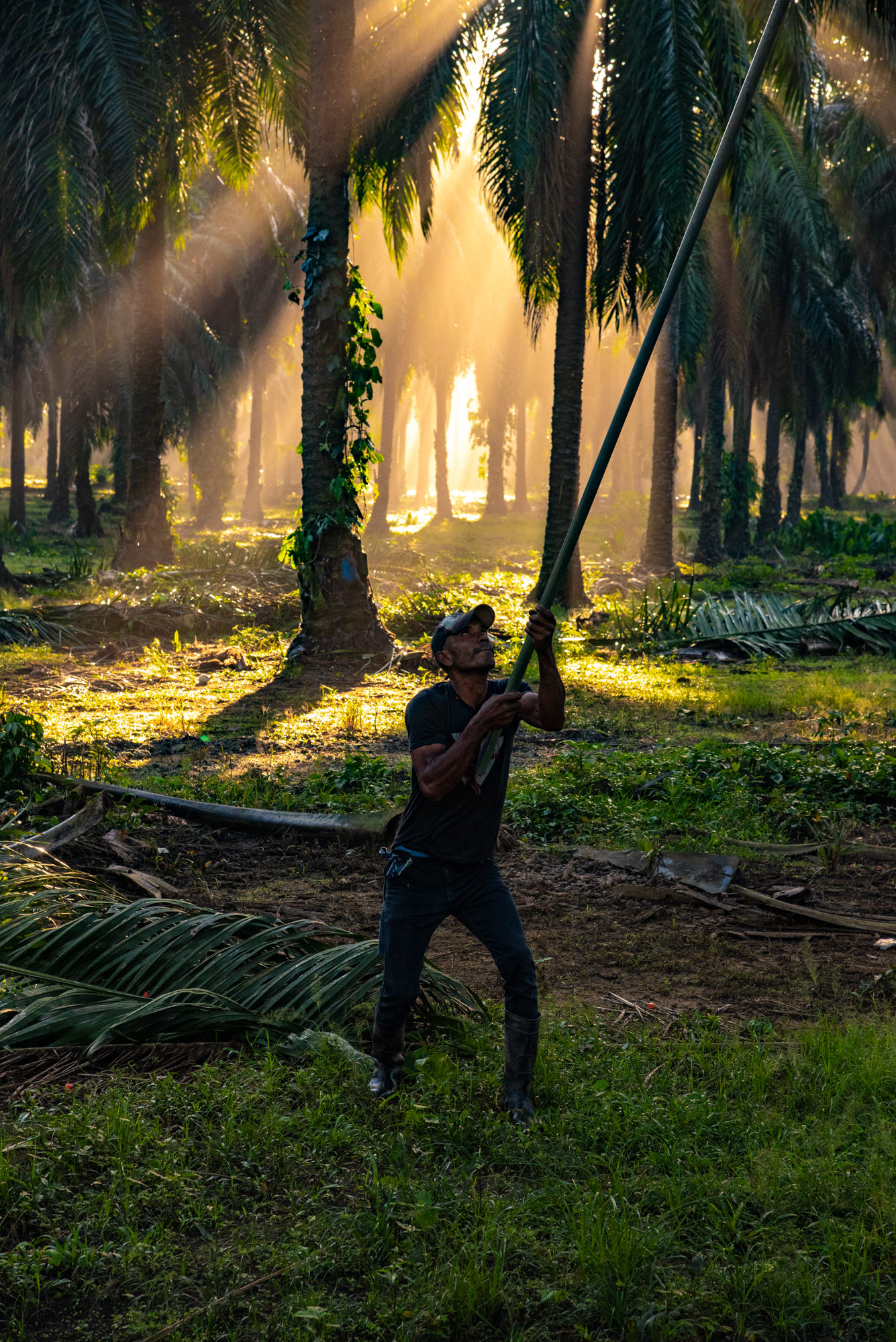 In the Valley of Death: a story of Honduran Land and Water Defenders being Murdered at the Hands of Transnational Corporations. For over a decade campesino, or “peasant”, activists, environmentalists, and land occupiers in the Aguan Valley of Northern black and white photo of a grandfather