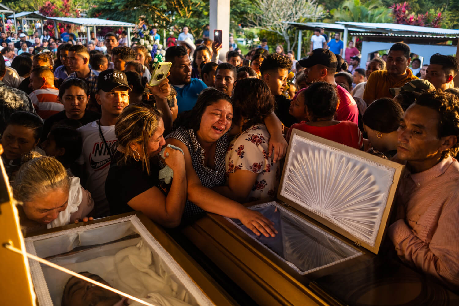 IPA-Winner-2023-Seth-Berry trees on black and white film